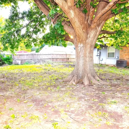 Sleeps 8,3 bed, 2 bath, North Dallas in Colony, 20 mins from DFW/DAL Airport