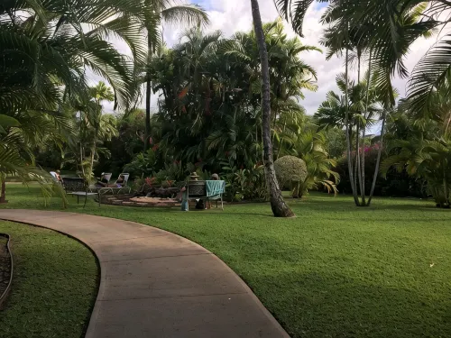 SALE -  Closest to the Beach - King Bed - Maui Banyan! -