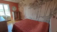 Stone house in Sarcey en Beaujolais 12 people - 프라이빗 풀