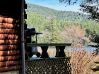 Charming cabin in phenomenal Seal Cove ME