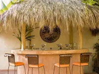 1 NIGHT FREE-GOLD AWARD WINNER - STAFFED LUXURY VILLA, OCEAN VIEW, POOL,& BAR - Villas