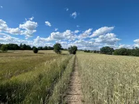TOP apartment near Berlin, very easy access - Apartment