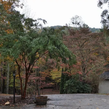 Coosa Home