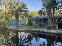 The Creek! in Old Homosassa across the street from the Freezer - Boutique