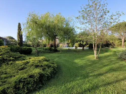 The countryside in the city center, swimming pool, large garden, quiet. - สระว่ายน้ำส่วนตัว