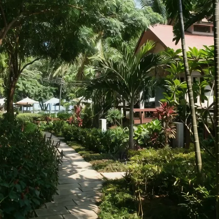 Palita Lodge Koh Phangan