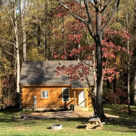 New! Cozy 6 Guest Cabin in Damascus, VA---Close  to Creeper Trial! Pet Friendly