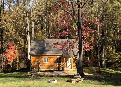 New! Cozy 6 Guest Cabin in Damascus, VA---Close  to Creeper Trial! Pet Friendly - Hytter