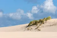 Seaviews Egmond - beautiful view of the beach - Apartments
