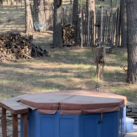 Enjoy the stars and the deer under the ponderosa pines