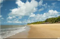 Pousada Beach Bahia - Beach