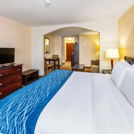 Comfort Inn & Suites Отели в г. Эдсон