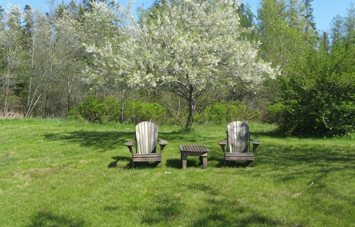 Aldernest Loft - Acadia Park/Mount Desert Island -walk across lawn down to shore