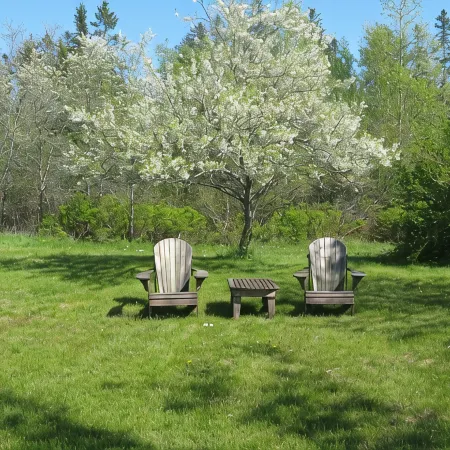 Aldernest Loft - Acadia Park/Mount Desert Island -walk across lawn down to shore