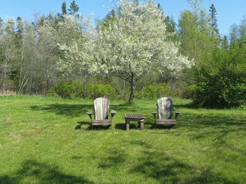 Aldernest Loft - Acadia Park/Mount Desert Island -walk across lawn down to shore