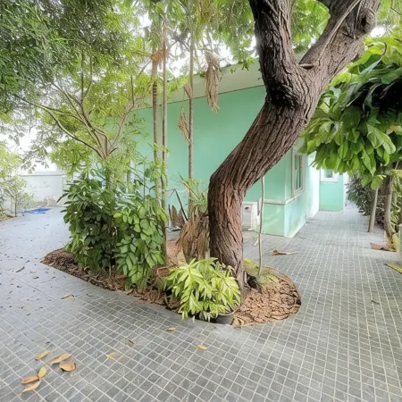 GAO Sailor Mezz Beachfront