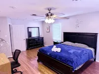 Spacious Skylit Seaside Stay - Walk to Bay & Beach - King Bed, Parking, Patio - Family