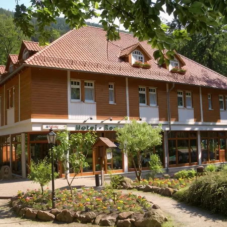 Kurpark Flair Hotel Im Ilsetal