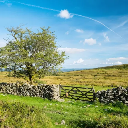 Escape to The Coach House, our picturesque and cosy cottage