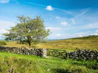 Escape to The Coach House, our picturesque and cosy cottage - 3-Star