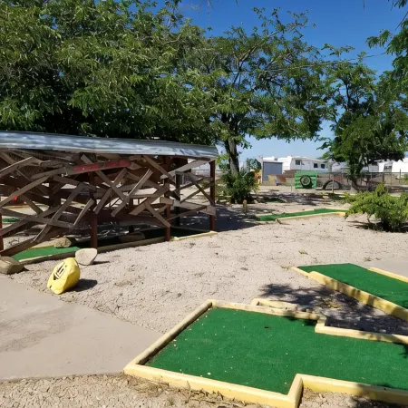 Kingman Koa
