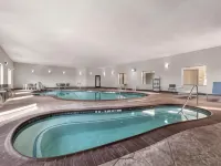 Spark by Hilton Amarillo Western Plaza Hotels in Amarillo