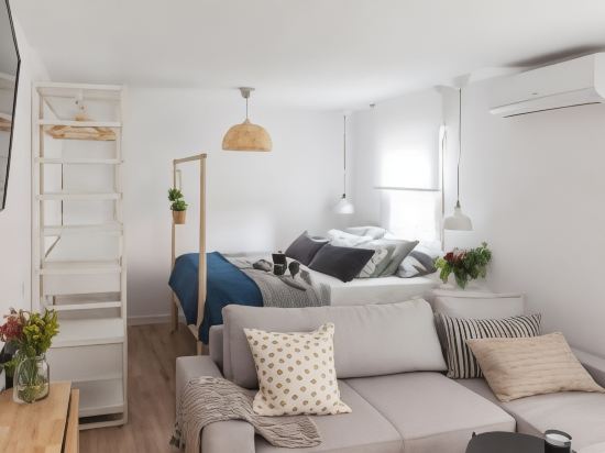 Charming Madrid Lofts