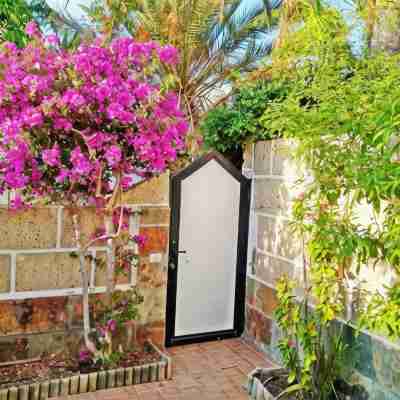 Casa Sarita - Well Maintained House in Chayofa with Pool Hotel Exterior