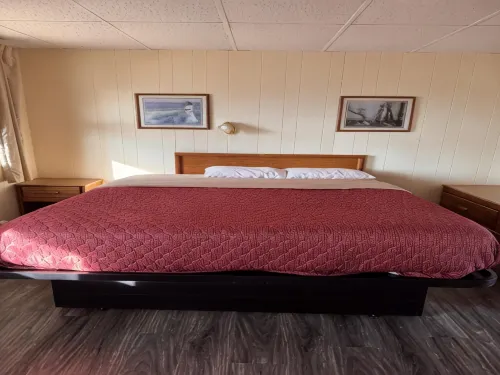 Coachman Motor Lodge - Wifi