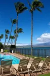 Super Luxury, Direct Oceanfront, 20 yards From Ocean, Whale Watchers Paradise - 3-Star