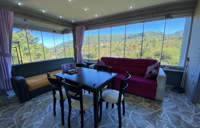 Cosy Park Apartment