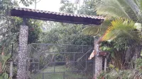 Breakfast With Toucans And Monkeys - Gym