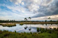B&B Bij de 3 Linden - Homestays