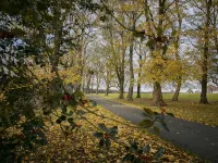 Single storey 2 bedroom lodge Hotels in Wetherby