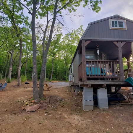 Cozy tiny cabin nested in the trees in a lake community, peaceful countryside. Отели в г. Брайан