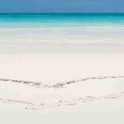 Grace Bay Beach 7Acre Resort: Guesthouse Ocean Views+Pool+Oceanfront+Lush Garden Fitness & Recreational Facilities