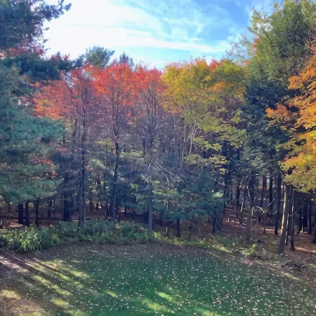 Welcome to "The Snurfer House  Your getaway in the Pocono Mountains!