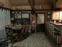 Unique Rustic, upscale, 3 br/2 ba Cabin w/Fireplace, Firepit, Pool Table & Wifi - シャレー