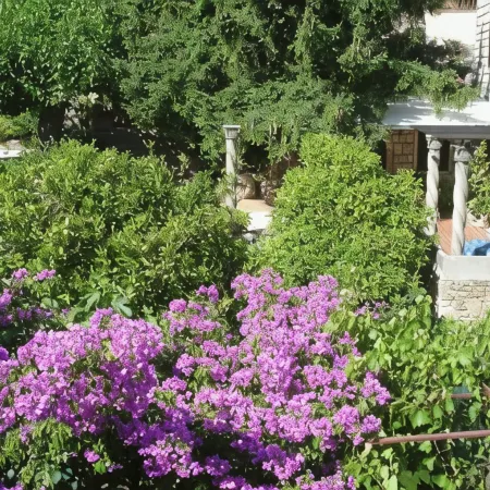 Villa Fede