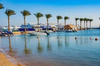 فندق كونتنينتال الغردقه - 5-نجوم
