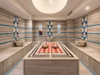 班斯科雷格努姆山地度假村 - SPA