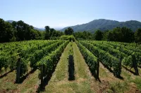 House with pool. Idyllic setting in hills near Lucca and coast WiFi Aircon - Homestays