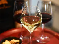 博納紅酒農場宜必思飯店 - 酒吧