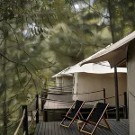 RINDANG Glamping - Wifi