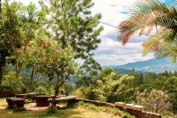 Velora Hill Ella | Panoramic Hilltop Stay #103 - Villas