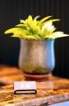 Jephson Hotel & Apartments Hotels in Taringa