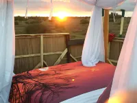 Amanya Star Bed Amboseli