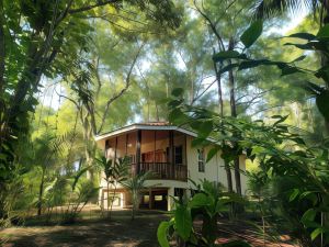 The Cabins at Monkey Fall