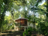 The Cabins at Monkey Fall Hotels in San Ignacio