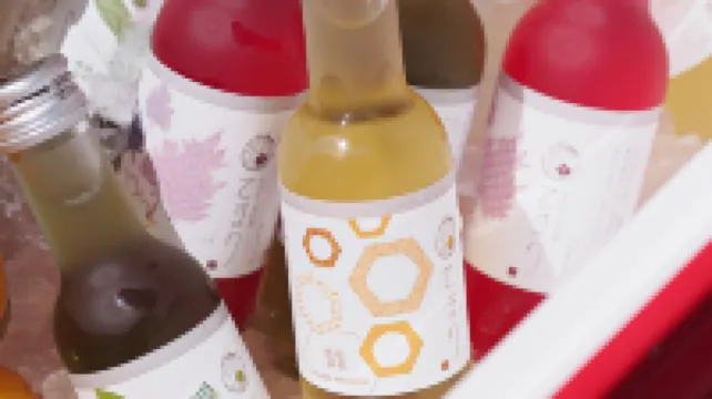 和歌山プリンスイン海南 有田市のホテル